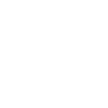 Icon 0
